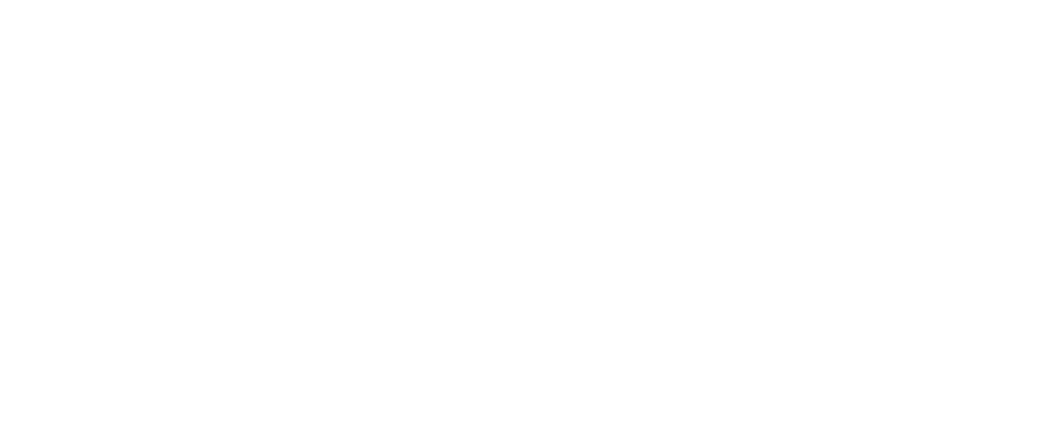 OEG Express